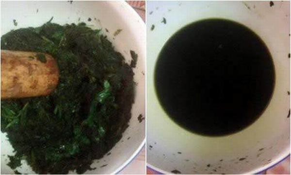 cach-tri-mun-hieu-qua-tu-rau-diep-ca-va-nha-dam7