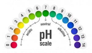 mach-ban-cach-can-bang-do-ph-tu-nhien-cho-lan-da1