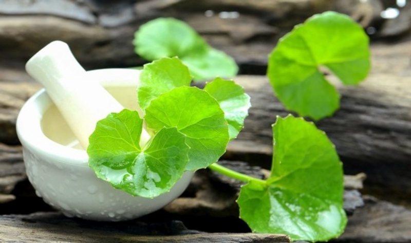 nhung-luu-y-nen-nho-khi-chon-tonner-cho-da-dau-mun7